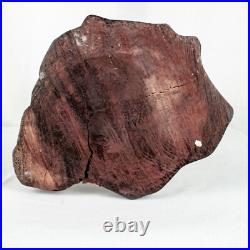 Vintage Handcraft Curved Wood Mama Baby Calf Deer Sculpture Size 10L x 9W Vintage Handcraft Curved Wood Mama Baby Calf Deer Sculpture Size 10L x 9W