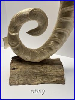 Vintage Hight Quality Hand Made Art Seahorse. Made By Finest Abaca Fibers