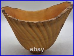 Vintage Jeff Arndt Alaska Cottonwood Burl Bowl Signed 1995 Sculptural Live Edge