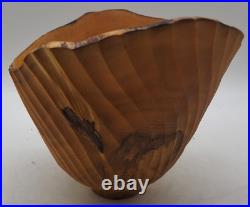 Vintage Jeff Arndt Alaska Cottonwood Burl Bowl Signed 1995 Sculptural Live Edge