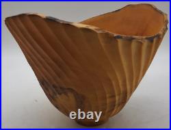Vintage Jeff Arndt Alaska Cottonwood Burl Bowl Signed 1995 Sculptural Live Edge