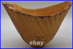 Vintage Jeff Arndt Alaska Cottonwood Burl Bowl Signed 1995 Sculptural Live Edge