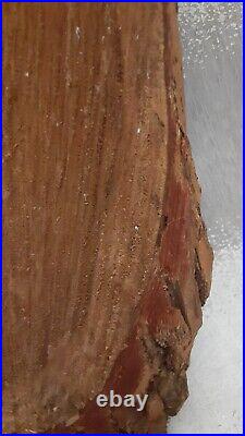 Vintage Junior Cobb Signed Wood Owl Carving Folk Art 16 1/2