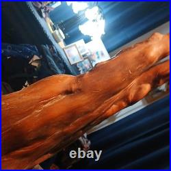 Vintage Large 23.5 Cypress Knee Wood Sculpture Abstract Double Peak Art Rustic