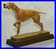Vintage Large ANRI Italy 9 Carved Wood Pointer Hunting Dog Signed Diller
