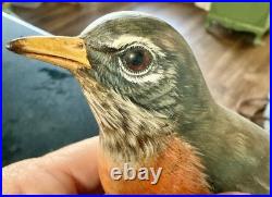 Vintage Ma Hai Feng American Robin Hand Carved Wood Bird Signed Hong Kong-Rare