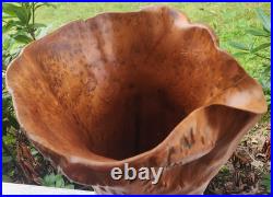 Vintage Mid Century Cypress Knee Wood Twisted Abstract Sculpture Art VASE