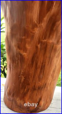 Vintage Mid Century Cypress Knee Wood Twisted Abstract Sculpture Art VASE