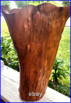 Vintage Mid Century Cypress Knee Wood Twisted Abstract Sculpture Art VASE