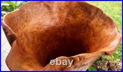 Vintage Mid Century Cypress Knee Wood Twisted Abstract Sculpture Art VASE