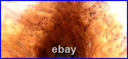 Vintage Mid Century Cypress Knee Wood Twisted Abstract Sculpture Art VASE