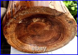 Vintage Mid Century Cypress Knee Wood Twisted Abstract Sculpture Art VASE