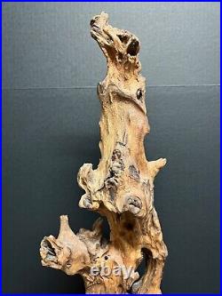 Vintage Natural Abstract Driftwood Art Sculpture On Wooden Base