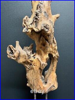 Vintage Natural Abstract Driftwood Art Sculpture On Wooden Base