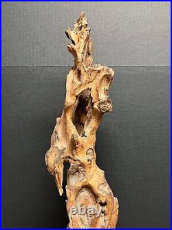 Vintage Natural Abstract Driftwood Art Sculpture On Wooden Base