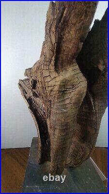 Vintage Natural Driftwood Medium Sculpture with Slate base 14 x 9
