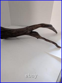 Vintage Natural Driftwood Sculpture Abstract Organic Wood Art Rustic Decor Displ