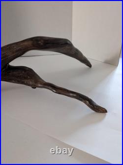 Vintage Natural Driftwood Sculpture Abstract Organic Wood Art Rustic Decor Displ