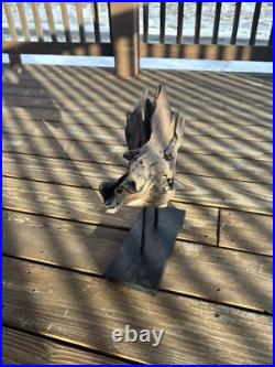Vintage Natural Driftwood Sculpture Wood Base Sculpture Art Beach (READ DESC.)