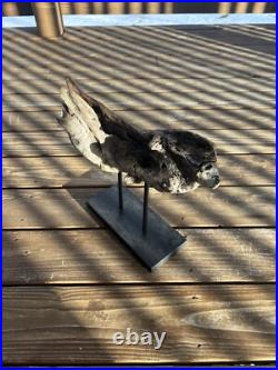 Vintage Natural Driftwood Sculpture Wood Base Sculpture Art Beach (READ DESC.)