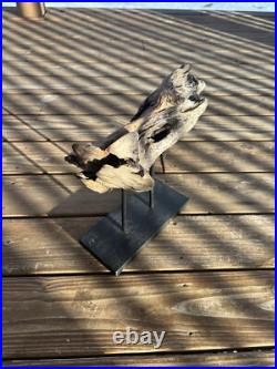 Vintage Natural Driftwood Sculpture Wood Base Sculpture Art Beach (READ DESC.)