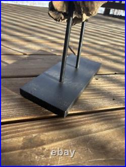 Vintage Natural Driftwood Sculpture Wood Base Sculpture Art Beach (READ DESC.)