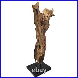 Vintage Natural Driftwood Sculpture on Marble Base Sculpture Art Beach Art