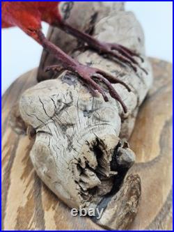 Vintage Northern Cardinal Wood Art Sculpture Drift Wood Stand Signed Handpainted
