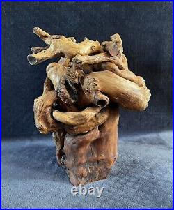 Vintage Organic Teak Root Wood Twisted Free Form Sculpture