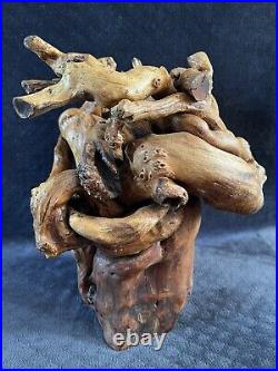 Vintage Organic Teak Root Wood Twisted Free Form Sculpture