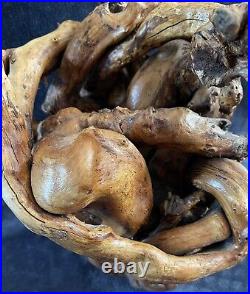 Vintage Organic Teak Root Wood Twisted Free Form Sculpture