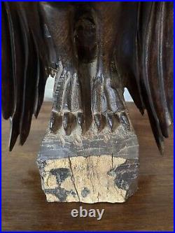 Vintage Seri Ironwood Eagle Sculpture 1960's One Piece Live Edge Base 16 13lbs