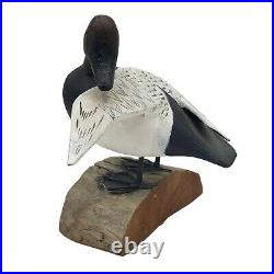 Vintage Shorebird Art Sculpture Duck Decoy Signed FW MW Hand Carved Painted
