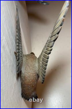 Vintage hand carved wood wall mount duck decoy mallard flying bird sculpture
