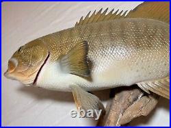 Vintage handmade EG carved wood smallmouth bass wall fish mount trophy sculpture