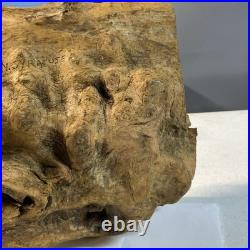 Vintage wood carving folk art Very Large. Tiger Hunting With Prey In Mouth