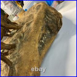 Vintage wood carving folk art Very Large. Tiger Hunting With Prey In Mouth