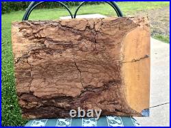 Vtg Artisan Elephant Wood Carving Naive Wall Hanging Plaque By Jean Obeirne