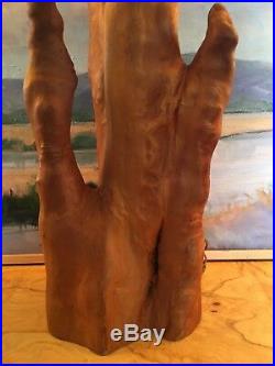 Vtg Cypress Knees Wood Lamp Swamp Nature Sculpture Tree Free Form Root Abstract