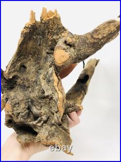 Vtg Hand Carved Birds Driftwood Sculpture Painted Art Nature BT23