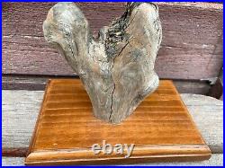 Vtg Hand Carved House Wren Wooden D Fasking Adirondack Carver Bird Sculpture Art