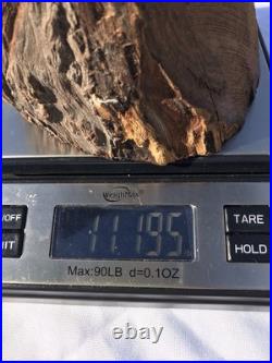 Vtg Hand Carved Wood American Bald Eagle Sculpture Statue Carving 20 25 OOAK