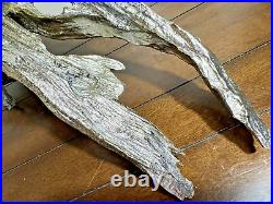 Vtg Large 21 Long Drift Wood Sculpture Antique Silver Color Table Top Decor