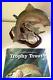 Vtg Rare Trophy Trout Danbury Mint Trout Treasures Realistic Sculpture Wood Base