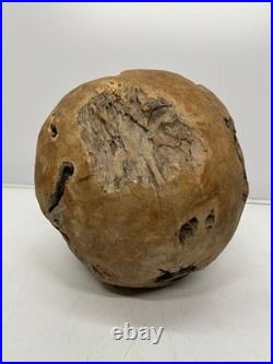 Vtg Root Ball Burl Maybe Teak Wood Mid-Century Sphere Natural Sculpture Art 14