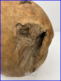 Vtg Root Ball Burl Maybe Teak Wood Mid-Century Sphere Natural Sculpture Art 14