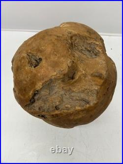 Vtg Root Ball Burl Maybe Teak Wood Mid-Century Sphere Natural Sculpture Art 14