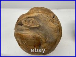 Vtg Root Ball Burl Maybe Teak Wood Mid-Century Sphere Natural Sculpture Art 14