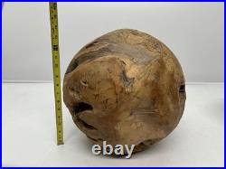 Vtg Root Ball Burl Maybe Teak Wood Mid-Century Sphere Natural Sculpture Art 14 Vtg Root Ball Burl Maybe Teak Wood Mid-Century Sphere Natural Sculpture Art 14