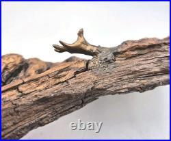 Vtg Wood Spirit Tree Bark Sculpture Handmade Natural Folk Art Hanging Wall Mount